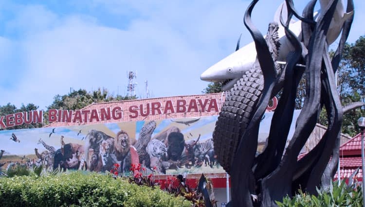 Kebun Binatang Surabaya